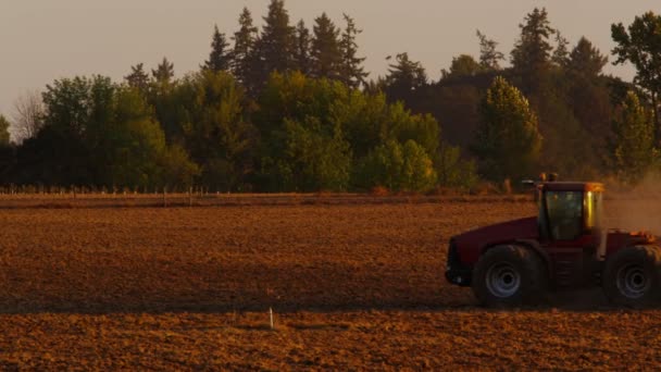 Câmp de arat tractor — Videoclip de stoc