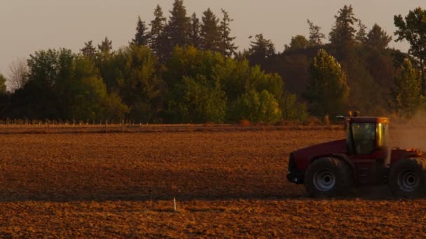 Campo de arado do trator — Vídeo de Stock