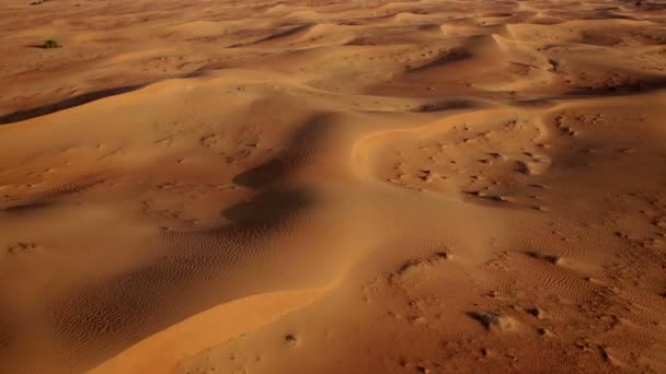 Sanddünen bei Sonnenaufgang — Stockvideo