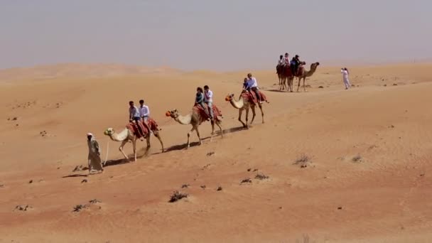 Touristes à dos de chameau — Video
