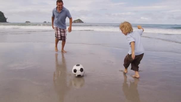 Pai e filho chutando bola — Vídeo de Stock