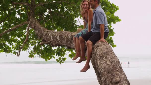 Casal sentado na árvore — Vídeo de Stock