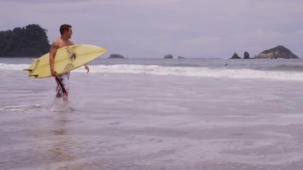 Surfer at the beach — Stock Video