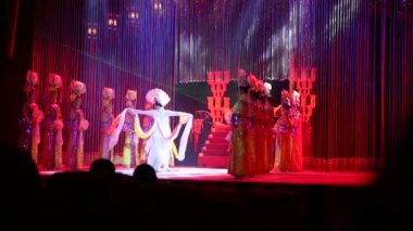 Çin Circus adlı sanatçılar