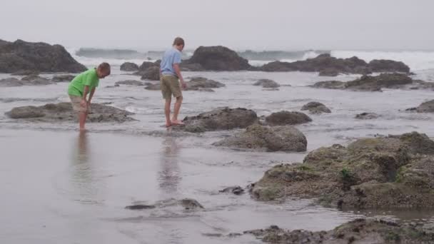 Chicos en la playa — Vídeo de stock