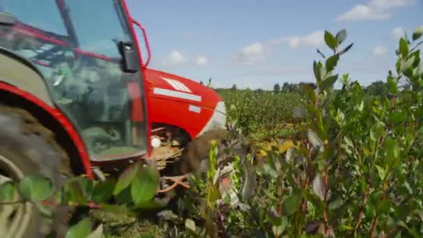 Traktor fährt durch Feld — Stockvideo