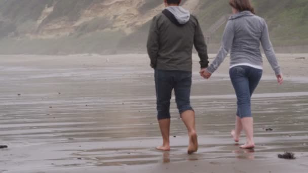 Couple at the beach — Stock Video