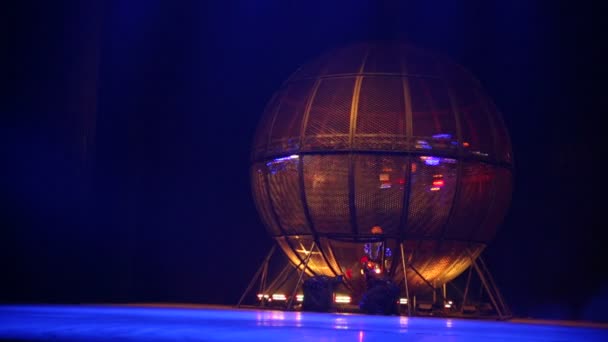 Performers at Chinese Circus — Stock Video