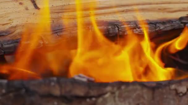 Wood burning in campfire — Stock Video