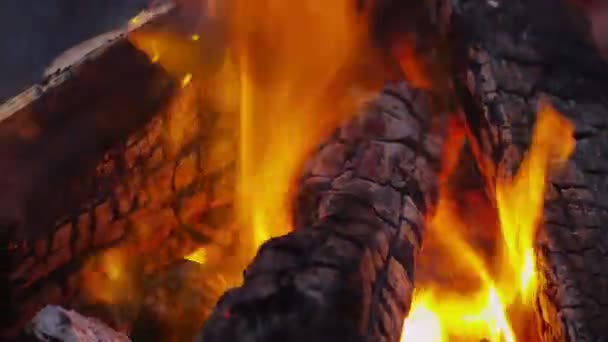 Madera ardiendo en fogata — Vídeos de Stock