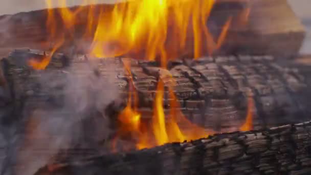 Holz im Lagerfeuer verbrennen — Stockvideo