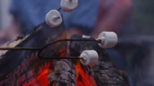 Rodina pražení marshmallows — Stock video