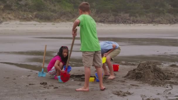 Spelen op het strand — Stockvideo