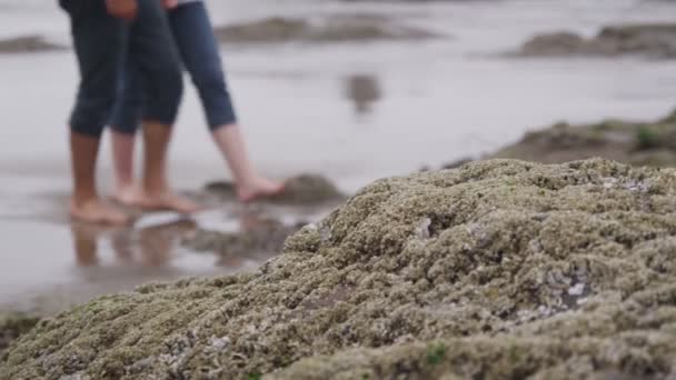 Pareja en la playa — Vídeos de Stock