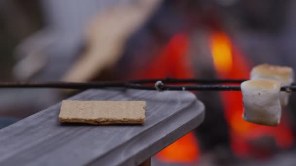 Att göra smores utomhus brand. — Stockvideo