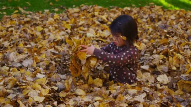 Mädchen spielt im Herbstlaub — Stockvideo