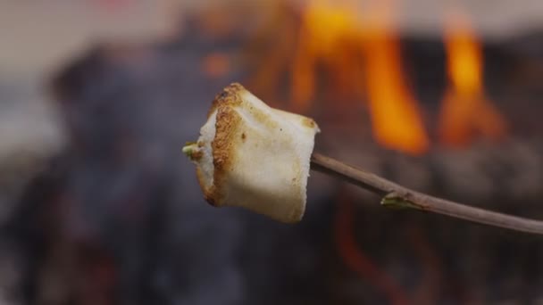 Pečené marshmallow podle táborák. — Stock video
