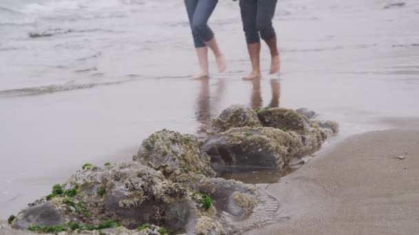 Coppia in spiaggia — Video Stock