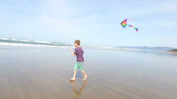 Chico volando cometa en la playa — Vídeo de stock