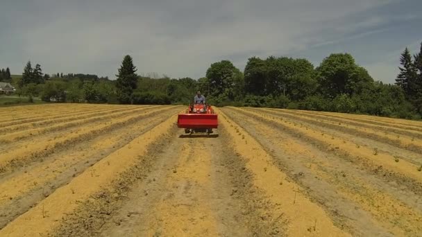 Man driving tractor — Stock Video