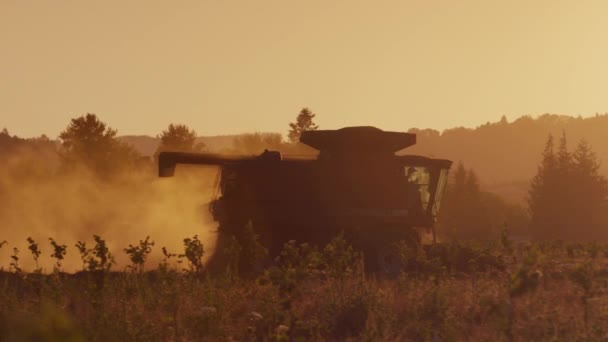 Уборка тракторов на закате — стоковое видео