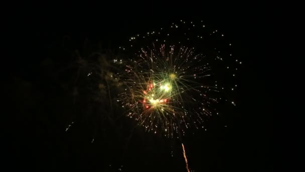 Cuatro de julio Fuegos artificiales — Vídeos de Stock