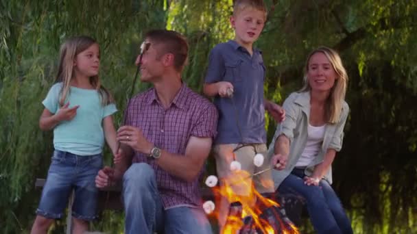 Guimauves grillées en famille sur le feu de camp — Video