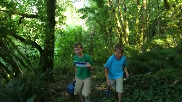 Pojkarna gå genom skogen — Stockvideo