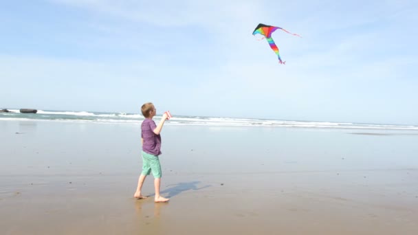 Jongen vliegende kite Beach — Stockvideo