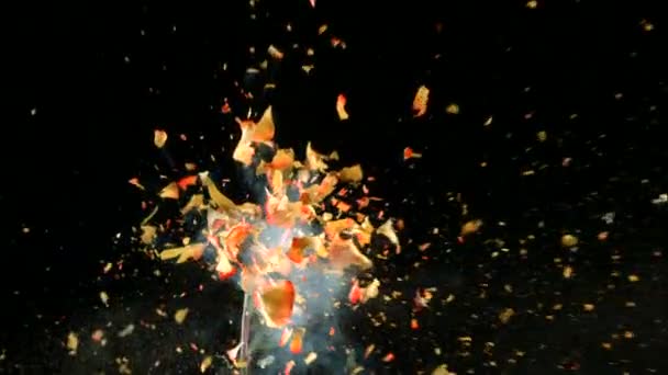 Yellow frozen rose explodes — Stock Video