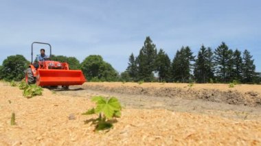 Traktör süren adam.