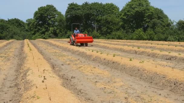 Mann fährt Traktor — Stockvideo