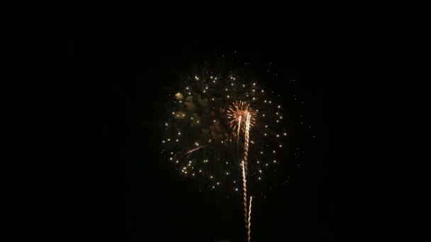 Feux d'artifice du 4 juillet — Video