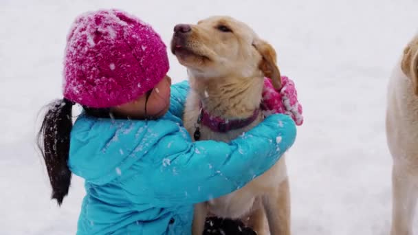 Girl playing with puppy — Stock Video