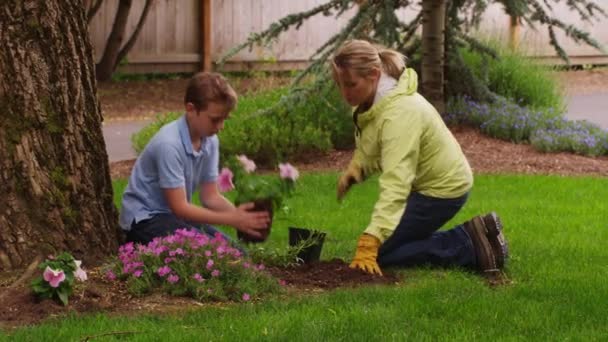 Moeder en zoon planten van bloemen — Stockvideo