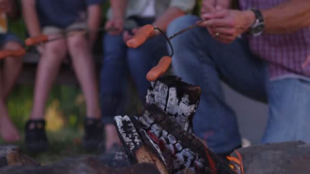 Family roasting hot dogs — Stock Video