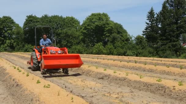 Man driving tractor — Stock Video