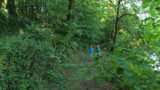 Jongens wandelen door bos — Stockvideo