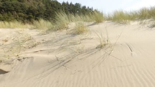 Dune de sable à la plage 