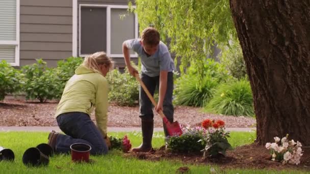 Madre e figlio piantare fiori — Video Stock