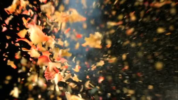Zmrazené růže žlutá exploduje — Stock video