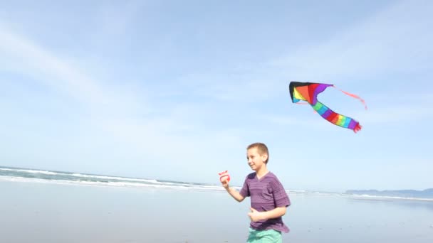 Chico volando cometa en la playa — Vídeo de stock