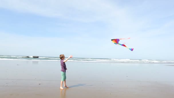 Chico volando cometa en la playa — Vídeos de Stock