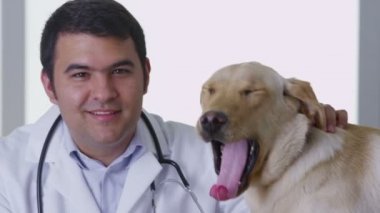 Veteriner köpeği niyetine bir sağlık kontrolü