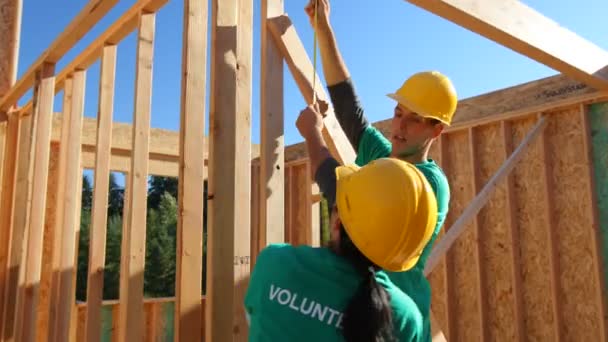 Gönüllüler birlikte çalışma — Stok video
