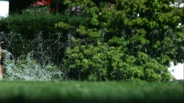 Jonge jongen op Wasser Rutsche — Stockvideo