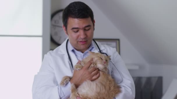 Veteriner holding kedi — Stok video