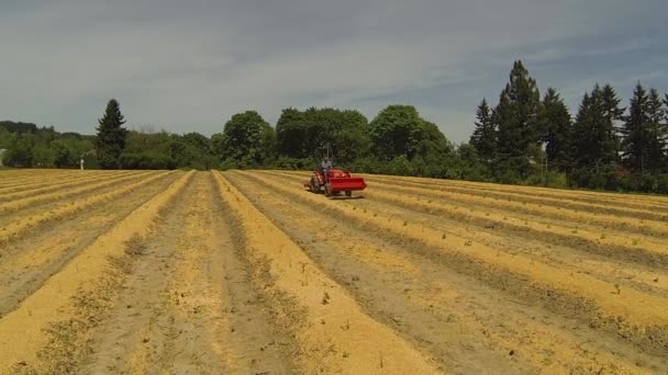 Mann fährt Traktor — Stockvideo