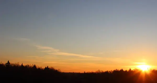 Bir kış sabahı ormanın üzerinde güzel bir şafak