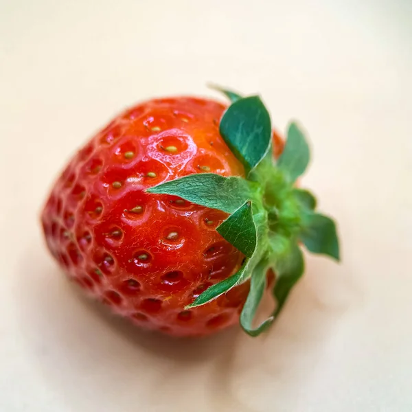 Red Ripe Strawberries Photographed Close — Stock Photo, Image